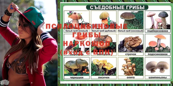 бошки Богородск