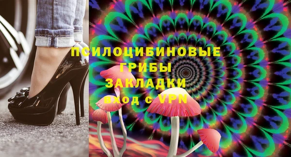твердый Богородицк