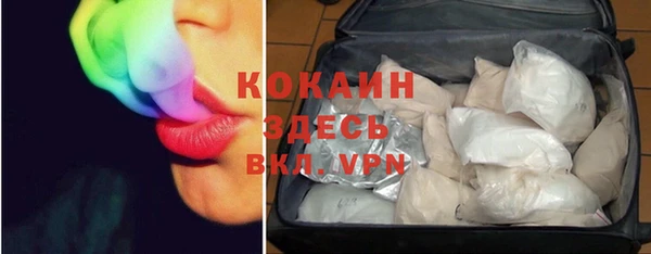 твердый Богородицк