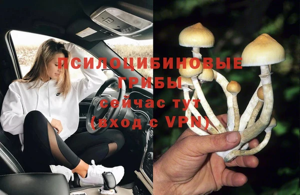бошки Богородск