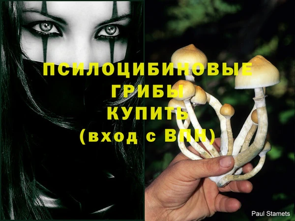 ALPHA-PVP Богданович