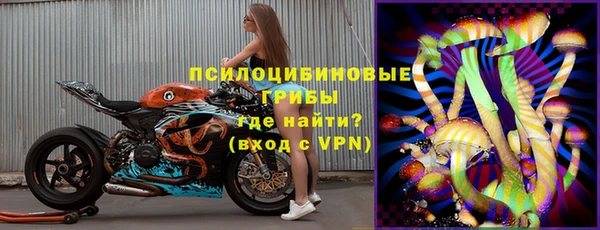 твердый Богородицк