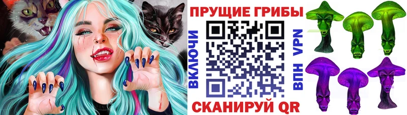 магазин продажи   Болотное  Галлюциногенные грибы Magic Shrooms 
